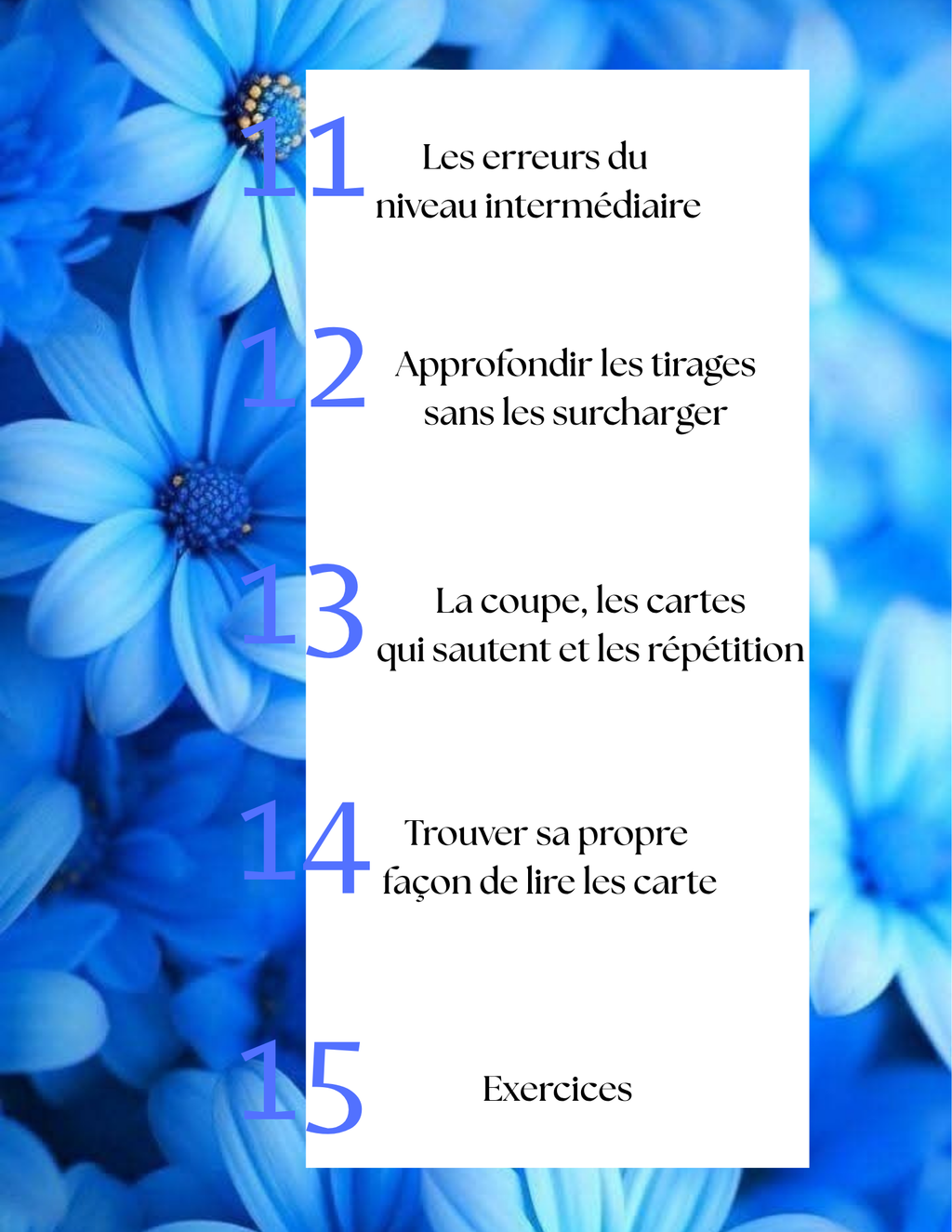 Le langage des images TOME 2 niveau intermédiaire