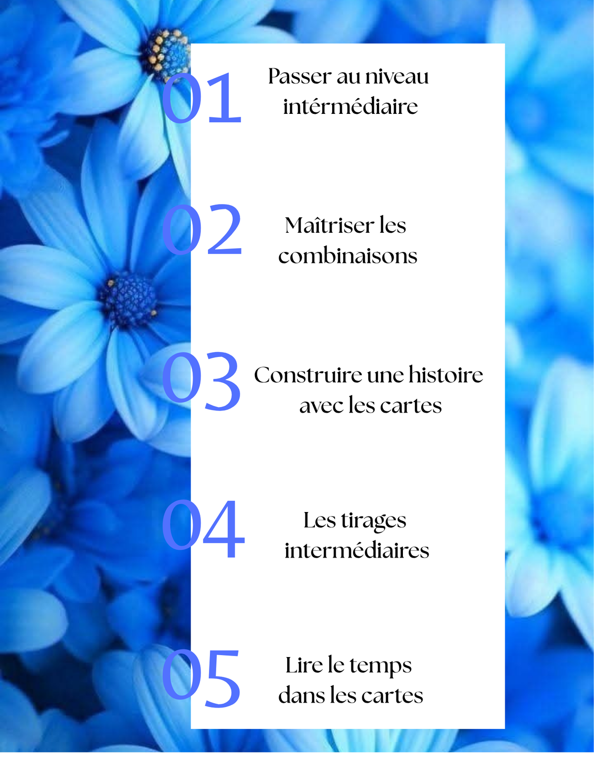 Le langage des images TOME 2 niveau intermédiaire