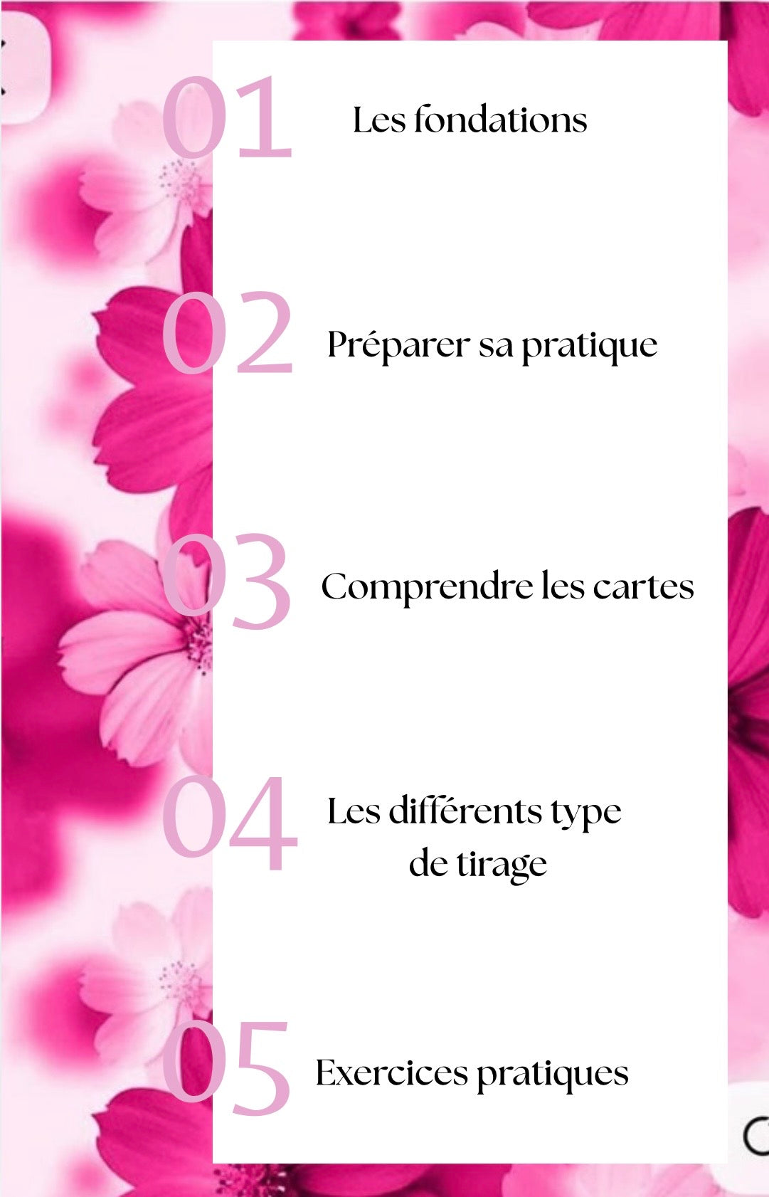 Le langage des images TOME 1 Débutant