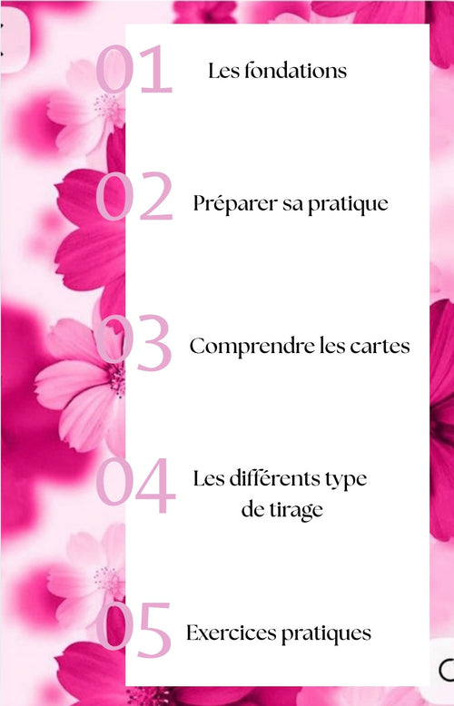 Le langage des images TOME 1 Débutant